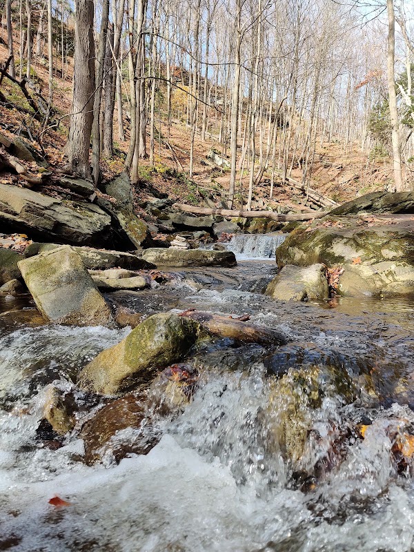 Bruce Trail 4