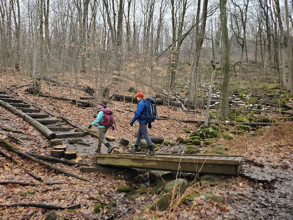 Bruce Trail 3