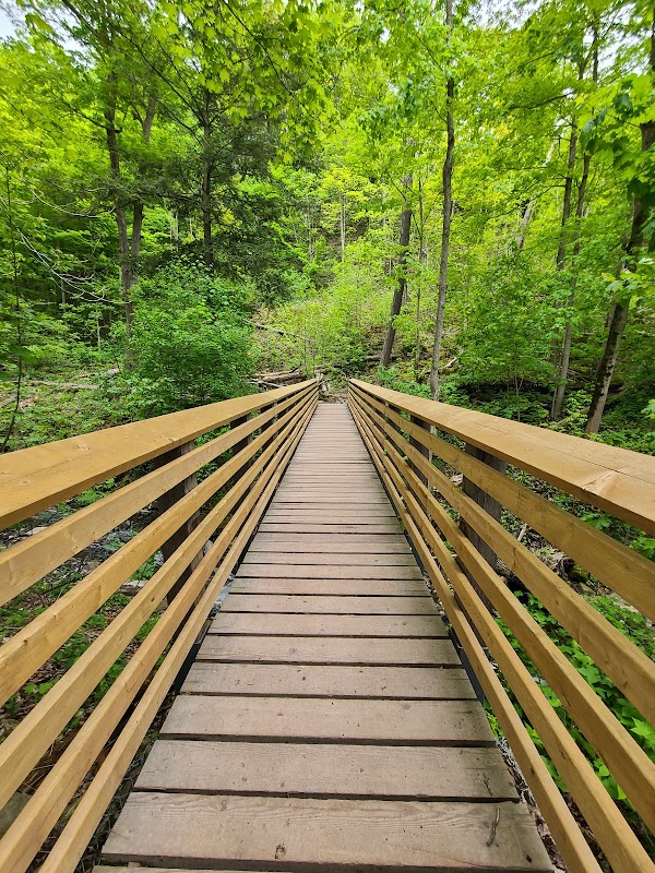 Bruce Trail 2