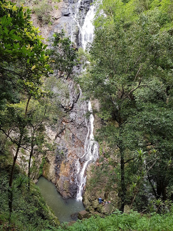 Kondalilla Falls Road 5