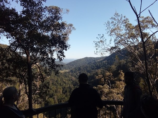 Kondalilla Falls Road 3