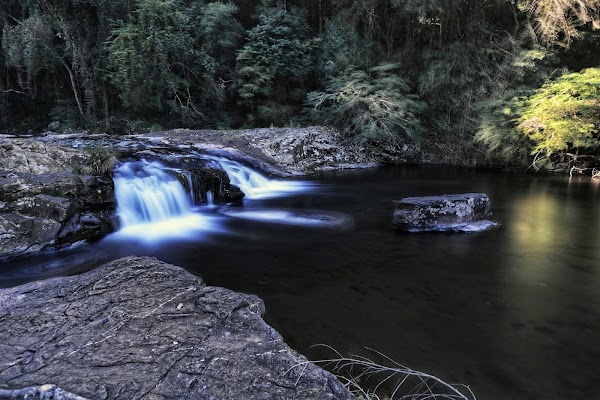Kondalilla Falls Road 2
