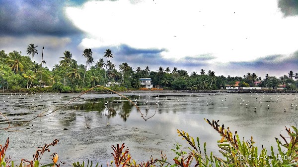 Kadamakkudy 2