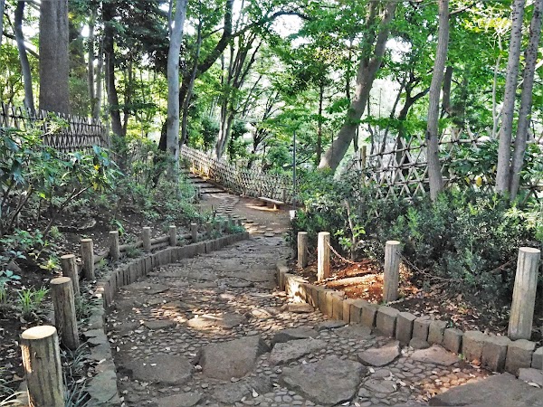 Togoshi Park 4