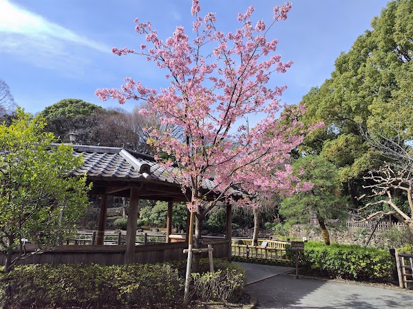 Togoshi Park 3