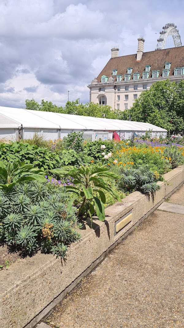 St Thomas' Riverside Garden 3