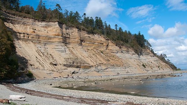 Lily Point Marine Reserve 1