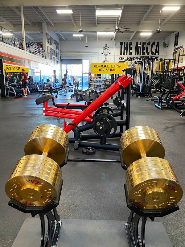 Gold's Gym Venice 2
