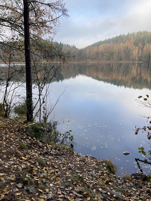 Rödgölens Naturreservat 1