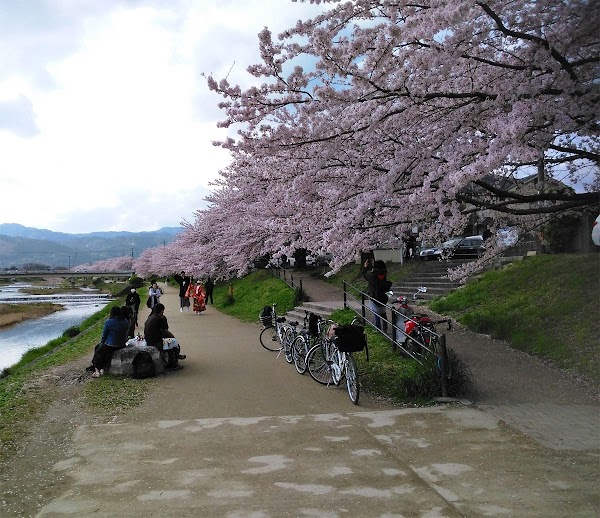Kamogawa Park 4
