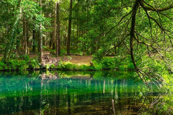 Lagoa da Esturranha
