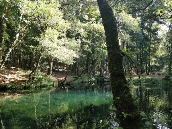 Lagoa da Esturranha 5