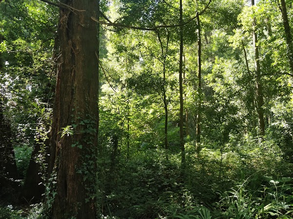 Lagoa da Esturranha 2