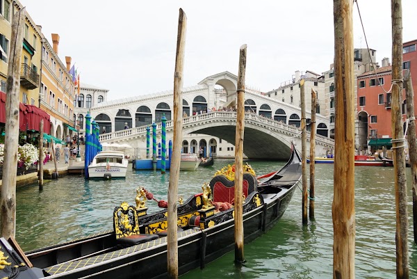 Rialto Bridge 5