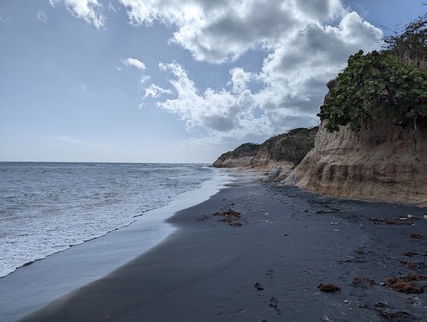 Black Sand Beach 5