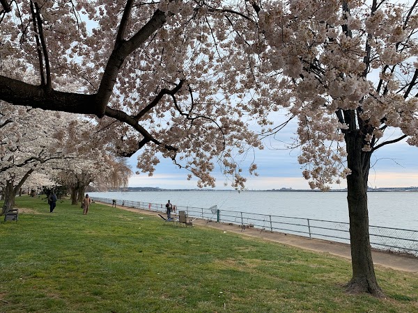 East Potomac Park 5