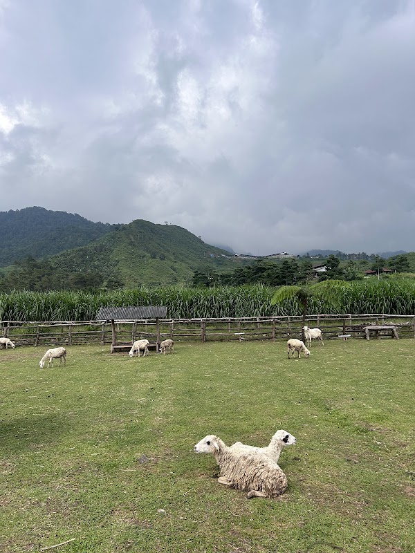 Menggala Ranch