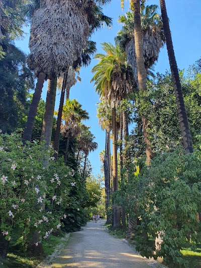 Botanical Garden of Lisbon