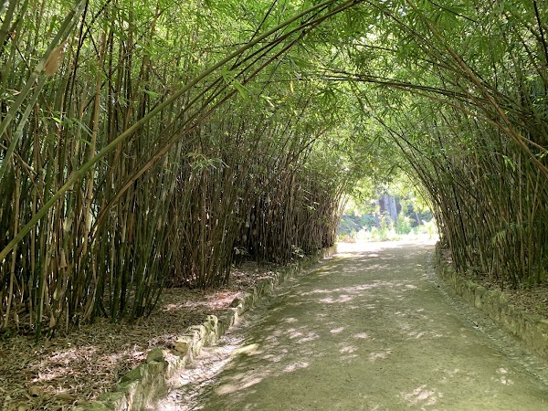 Botanical Garden of Lisbon 2