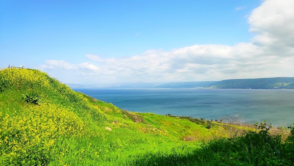 Kinneret 5