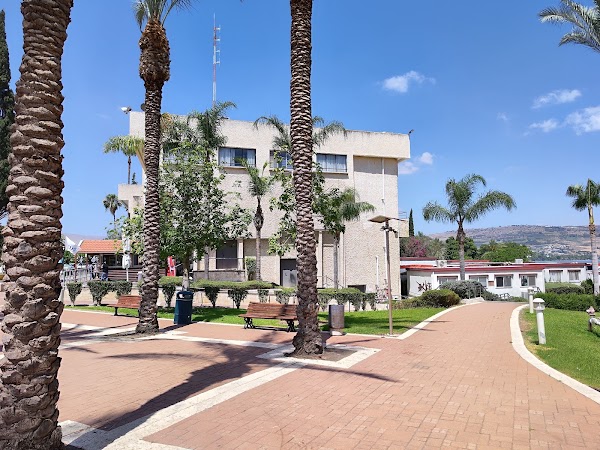 Kinneret 4