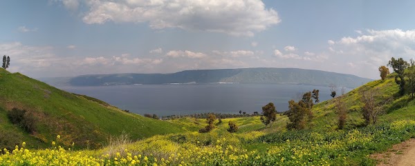 Kinneret 3