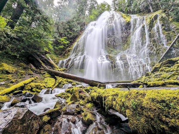 Proxy Falls Trailhead