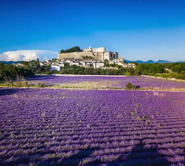 Château de Grignan 1