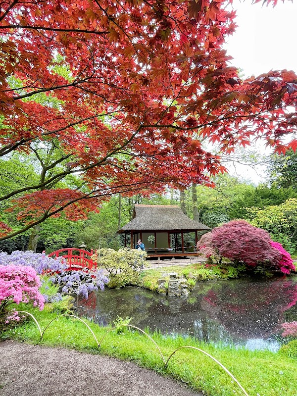 Japanese Garden