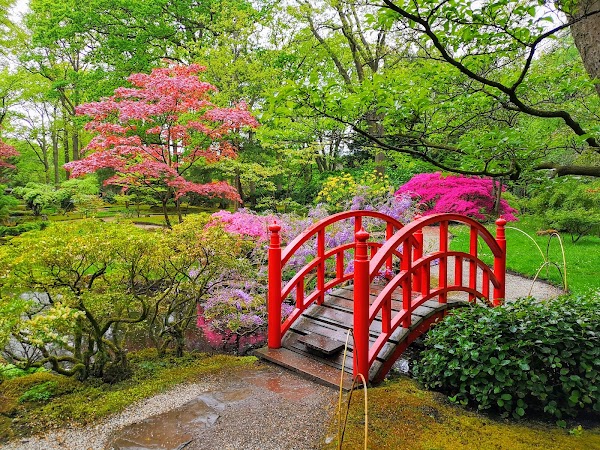 Japanese Garden 5
