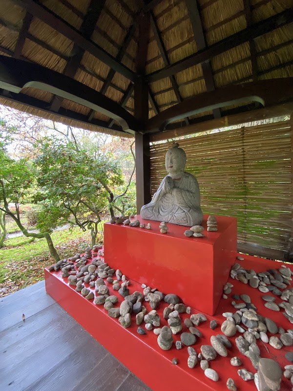 Japanese Garden 4