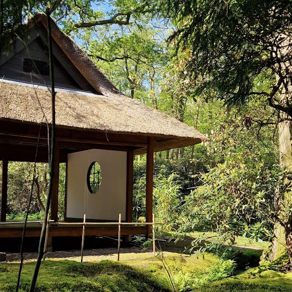 Japanese Garden 3