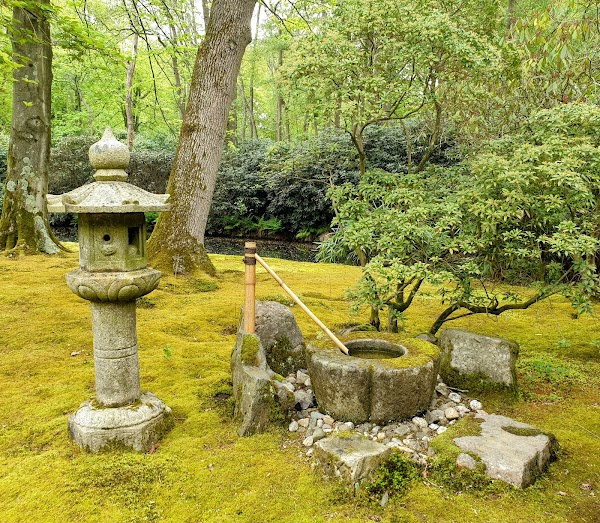 Japanese Garden 2