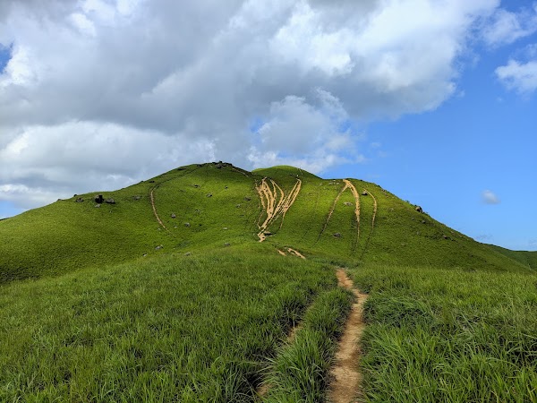 Lam Tsuen Country Park 4