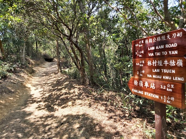 Lam Tsuen Country Park 2