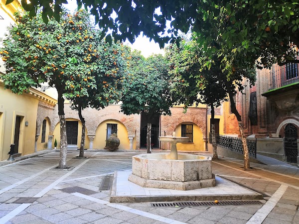 Patio de los Naranjos del Salvador