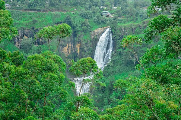 Devon Falls 5