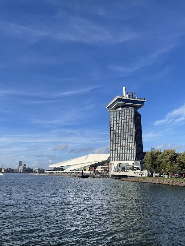 Shelter Amsterdam 2