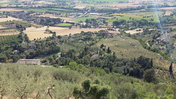 Campello Alto