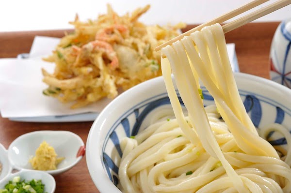 Sanuki Udon Taniya 4