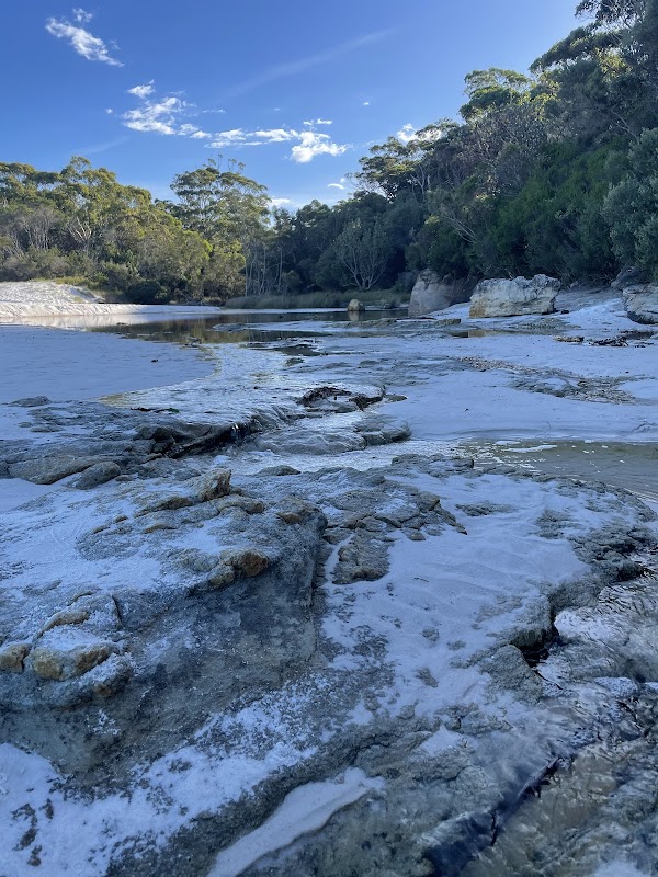 White Sands walk and Scribbly Gum track 3