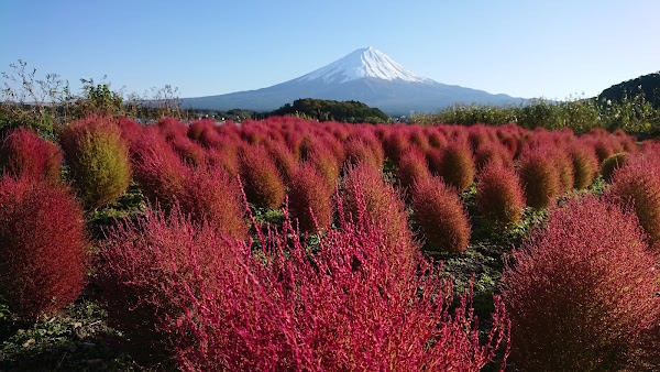 Kawaguchiko Natural Living Center 4