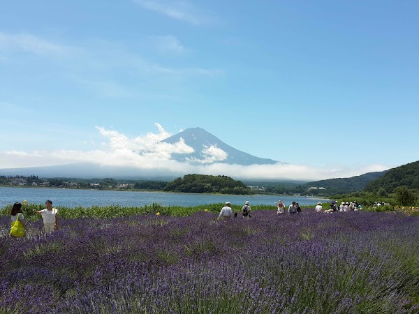 Kawaguchiko Natural Living Center 3