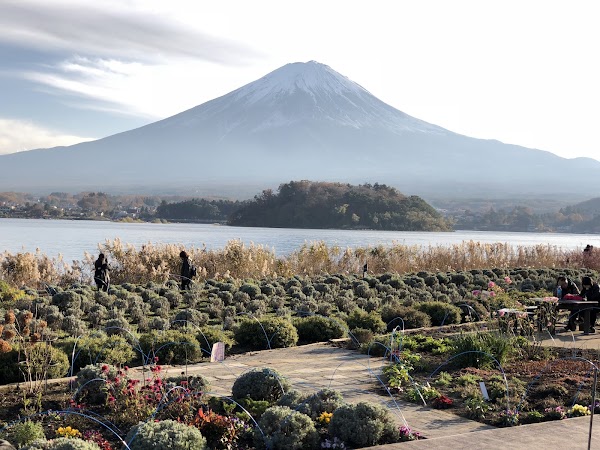 Kawaguchiko Natural Living Center 2
