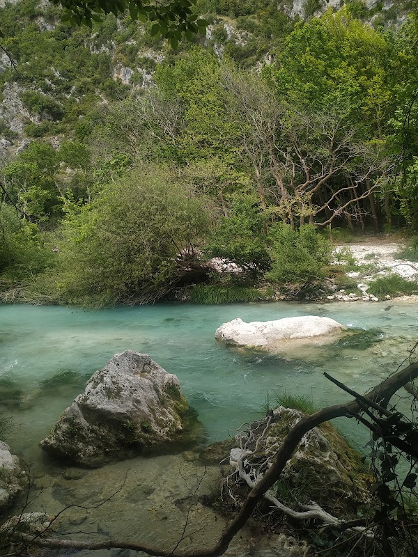 Glyki