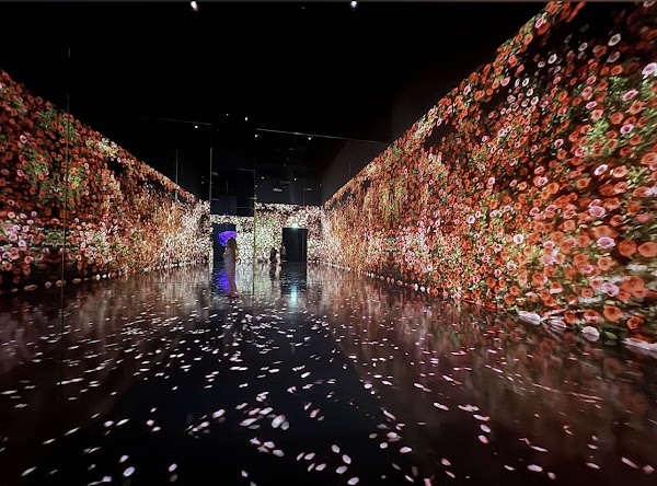 ARTE MUSEUM DUBAI 4