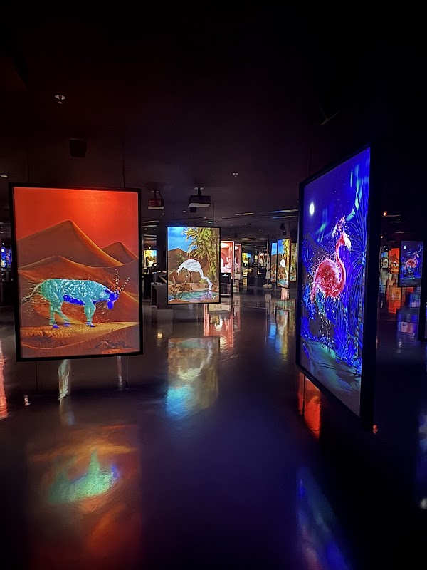 ARTE MUSEUM DUBAI 2