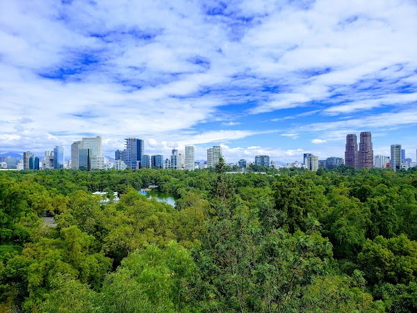 Bosque de Chapultepec 4