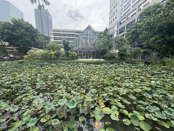 Living Plant Museum 4