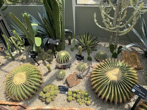 Living Plant Museum 3